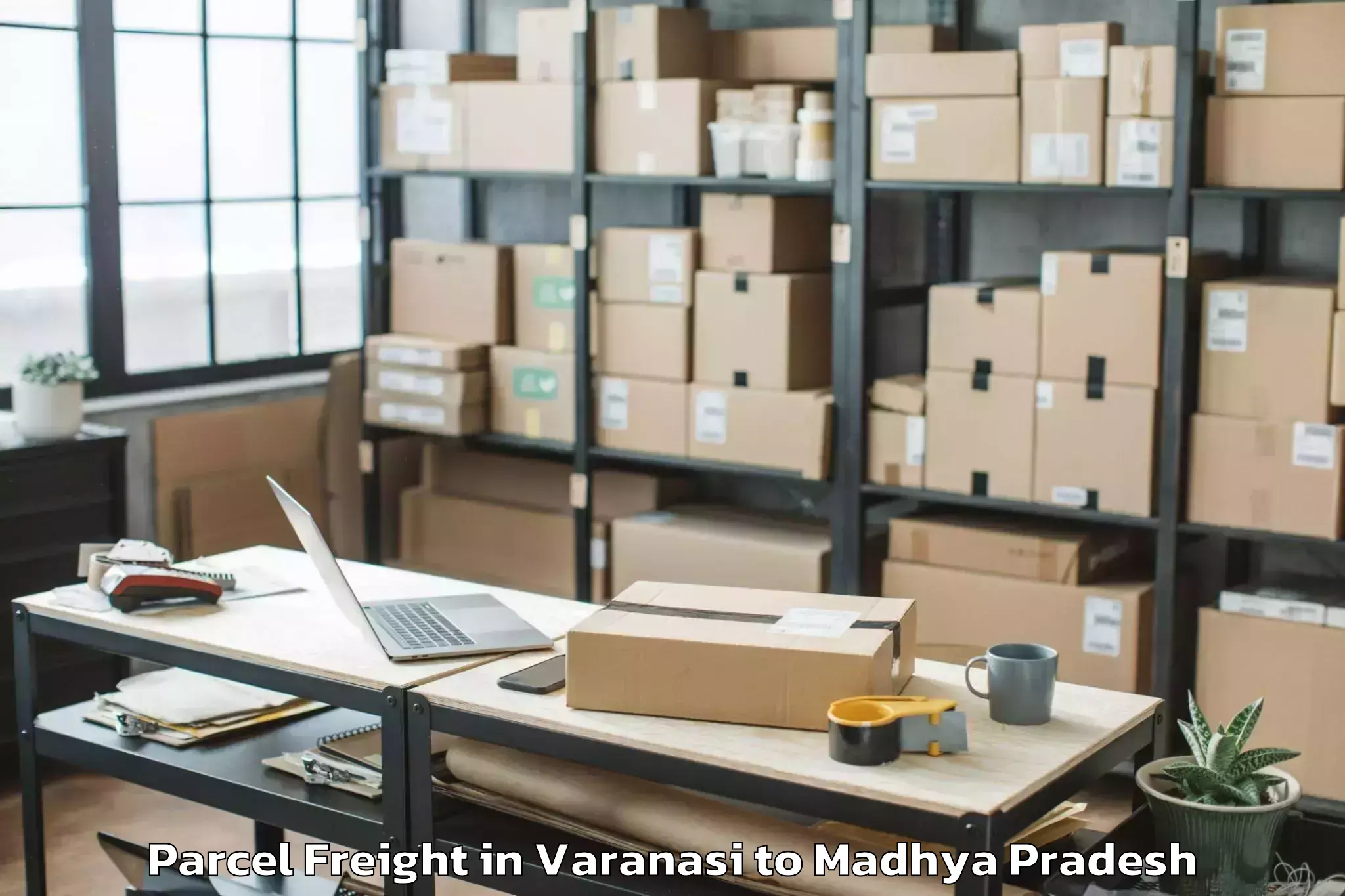 Quality Varanasi to Porsa Parcel Freight